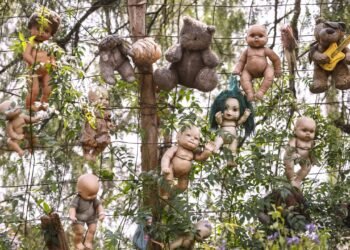 O mistério das árvores que observam você com olhos de plástico nos canais de Xochimilco