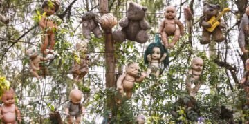 O mistério das árvores que observam você com olhos de plástico nos canais de Xochimilco