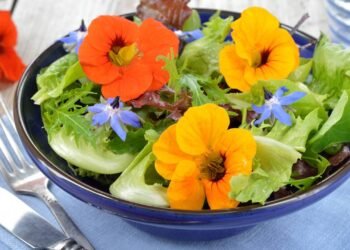 Essa flor colorida do quintal ficou conhecida como antibiótico natural em muitas casas brasileiras