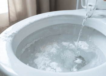 Nem cloro, nem desinfetante caro, a mistura caseira que deixa o banheiro perfumado e higienizado