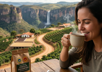 O café da Chapada Diamantina virou referência em cafés especiais do Brasil