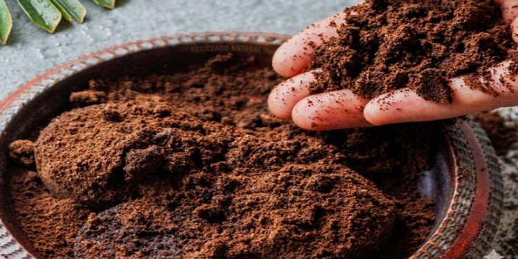 Transforme a borra de café em solução prática