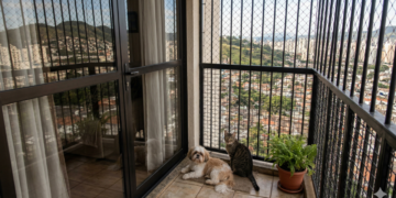 Lei de bem-estar animal impõe novas regras para cães e gatos