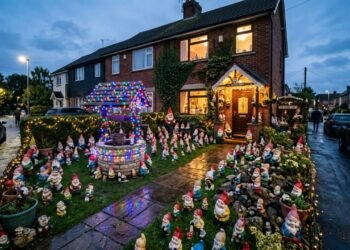 Casal decora o jardim com 30 gnomos, estátuas e uma estrutura para animais, irrita vizinhos e ouve que o espaço é uma vergonha para a região