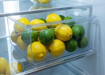 Como conservar limão por mais tempo sem perder suco, textura firme e aroma na cozinha