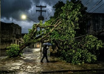 Galhos do seu vizinho invadem a calçada? A lei diz quem deve podar e quando a prefeitura pode agir