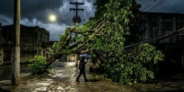 Galhos do seu vizinho invadem a calçada? A lei diz quem deve podar e quando a prefeitura pode agir