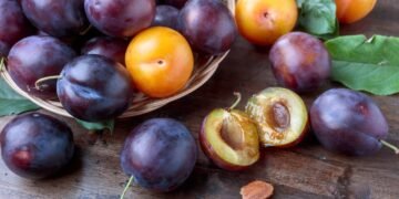 A árvore perfeita para quem quer sombra, frutos frescos e que não levanta o piso do quintal