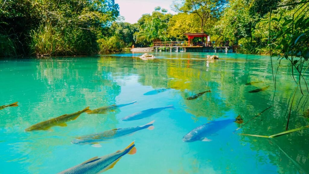 Essa cidade do interior foi eleita 15 vezes o melhor destino para quem quer conhecer rios transparentes