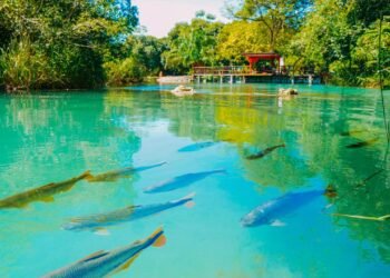 Essa cidade do interior foi eleita 15 vezes o melhor destino para quem quer conhecer rios transparentes