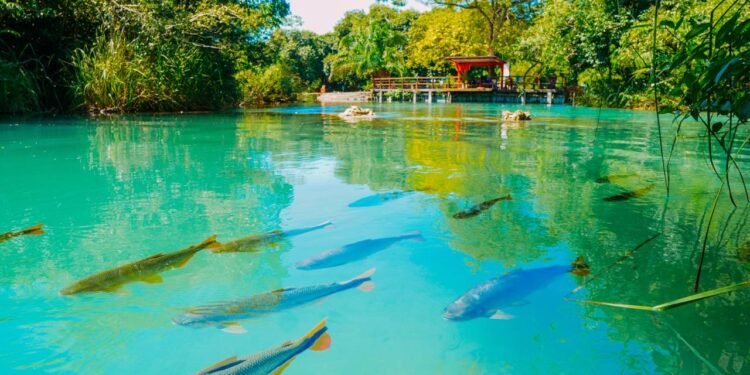 Essa cidade do interior foi eleita 15 vezes o melhor destino para quem quer conhecer rios transparentes