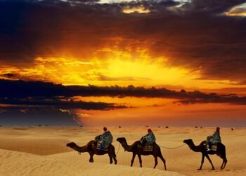 O fertilizante invisível que atravessa o Oceano Atlântico para alimentar as árvores da Amazônia