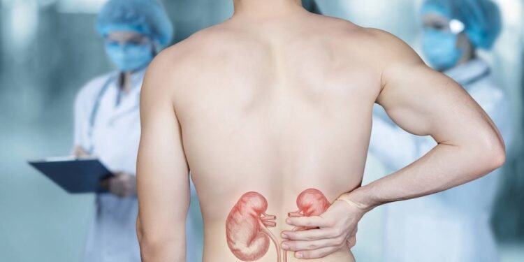 A pedra nos rins, ou cálculo renal, se forma quando a urina fica muito concentrada e cheia de substâncias como cálcio - Créditos: depositphotos.com / NataliMis