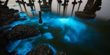 Mar de Estrelas nas Maldivas: o segredo por trás do brilho azul que ilumina as ondas à noite