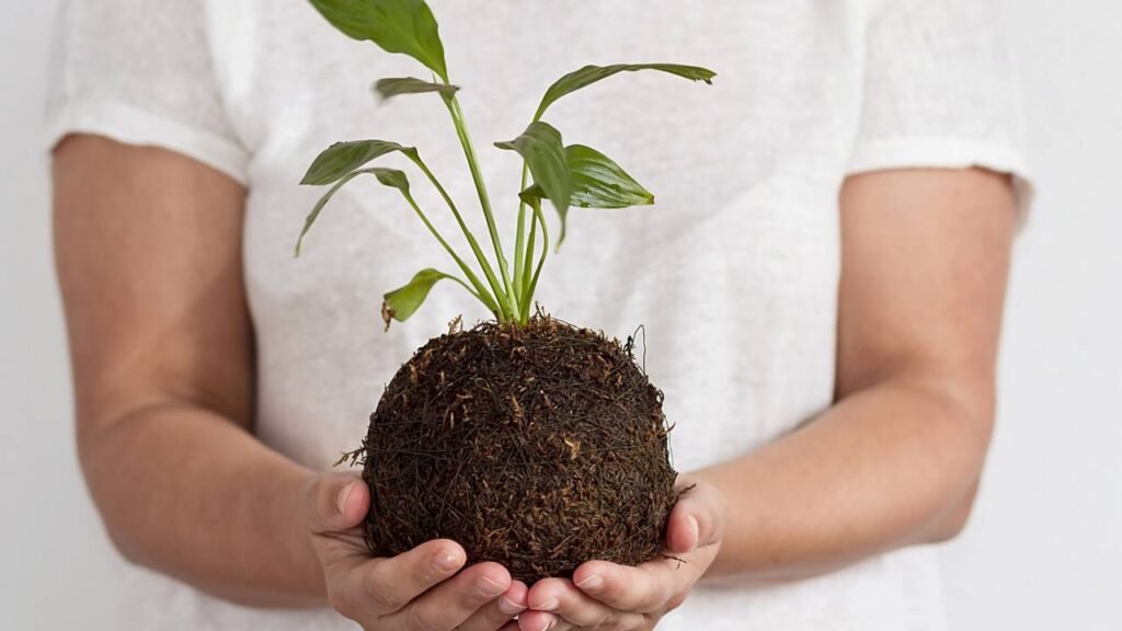 fazer uma kokedama