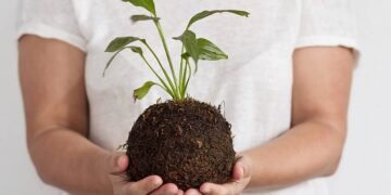 fazer uma kokedama