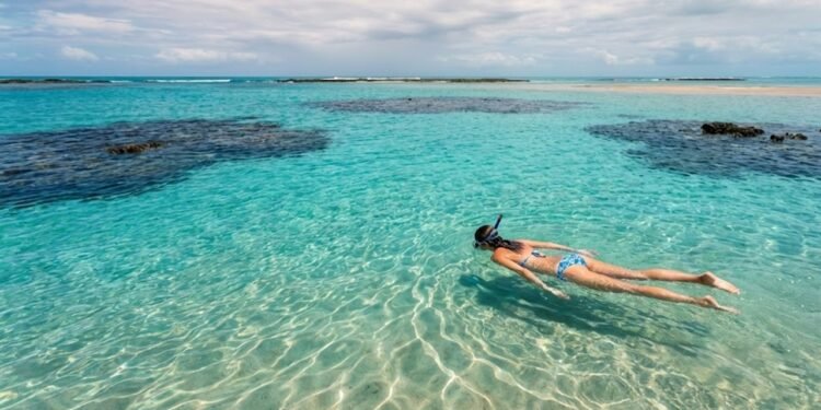 O Caribe Brasileiro tem 22 km de litoral e piscinas naturais a 6 km da costa: Maragogi surpreende em Alagoas (imagem ilustrativa)