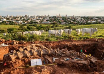 Dinossauros de 80 milhões de anos e selo da UNESCO: essa cidade mineira esconde um dos maiores fósseis do planeta