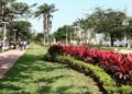 Essa cidade tem o maior jardim de praia do mundo e a melhor qualidade de vida para aposentados