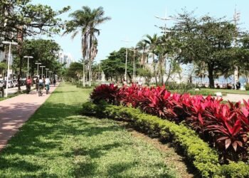 Essa cidade tem o maior jardim de praia do mundo e a melhor qualidade de vida para aposentados