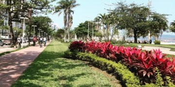 Essa cidade tem o maior jardim de praia do mundo e a melhor qualidade de vida para aposentados