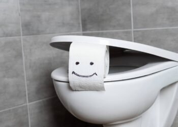 Por que jogar papel higiênico no vaso não é recomendado no Brasil e como descartar corretamente