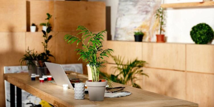 Também é importante que tenham crescimento mais controlado e raízes não agressivas, para não danificar pisos ou estruturas - Créditos: depositphotos.com / IgorVetushko