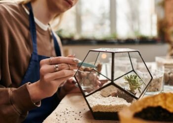 O mini ecossistema dentro de um pote de vidro que sobrevive quase sem nenhuma rega