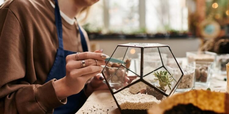 Já os terrários abertos trocam mais ar com o ambiente, então pedem regas um pouco mais frequente - Créditos: depositphotos.com / HayDmitriy