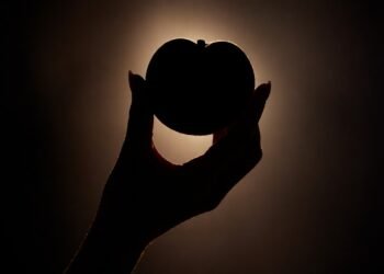 As propriedade medicinais dessa fruta agem como um escudo natural para garantir uma longevidade plena