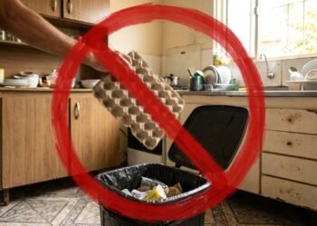 Não jogue fora as caixas de ovos e veja como transformá-las em pratos decorativos para sua casa