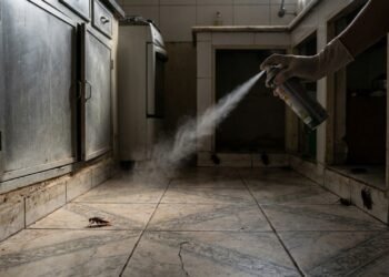 O erro mais comum no combate às baratas começa quando o spray parece resolver tudo