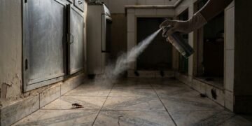 O erro mais comum no combate às baratas começa quando o spray parece resolver tudo