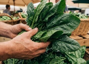 Ame ou odeia, o vegetal verde que renova sua força de forma natural e saudável