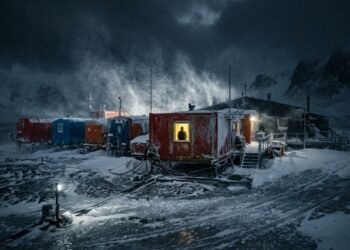 Cientista esfaqueou e tentou matar colega por ele ter revelado finais de livros e ele não tolerava spoilers