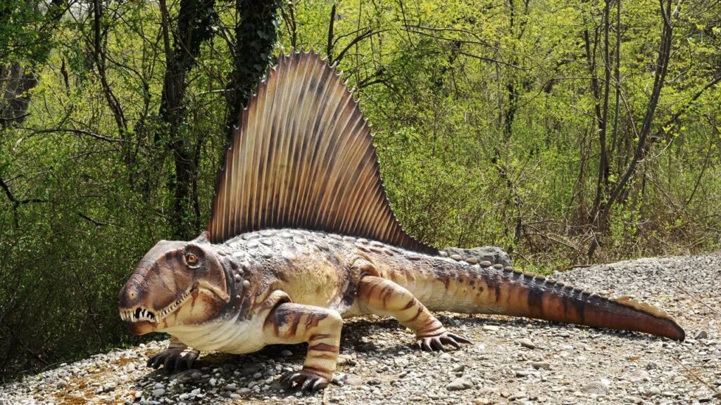 Dimetrodon