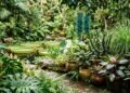5 plantas exóticas brasileiras que chamam atenção pelo visual e mudam o clima do jardim