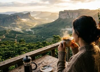Na Chapada Diamantina, o café especial surpreende pelo sabor e pela experiência do lugar