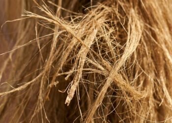 Seu cabelo está virando palha no calor? O erro mais comum pode estar piorando tudo agora