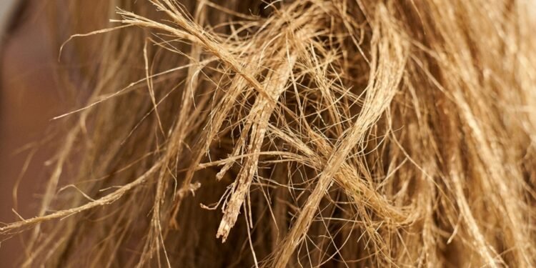 Seu cabelo está virando palha no calor? O erro mais comum pode estar piorando tudo agora