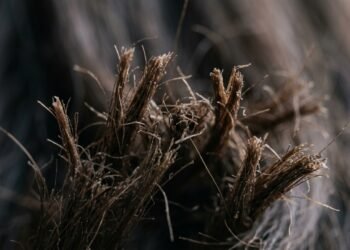 Estas 3 colheres de ingredientes naturais são a solução essencial para hidratar as pontas secas do cabelo