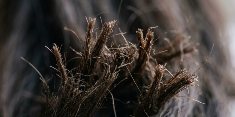 Estas 3 colheres de ingredientes naturais são a solução essencial para hidratar as pontas secas do cabelo