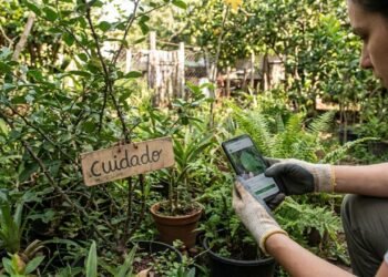 Essas plantas de quintal parecem inofensivas, mas podem gerar dor de cabeça com a lei
