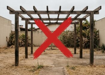 Adeus pergolado sem graça, a planta trepadeira que perfuma a entrada da casa com flores brancas e raras