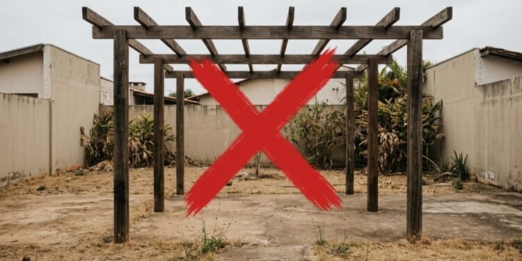 Adeus pergolado sem graça, a planta trepadeira que perfuma a entrada da casa com flores brancas e raras