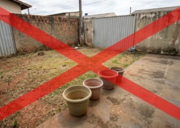 Adeus jardim sem vida, o perfume nostálgico que transforma sua rotina através do plantio dessa flor