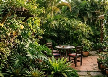 As plantas que bloqueiam a vista dos vizinhos melhor do que uma cerca