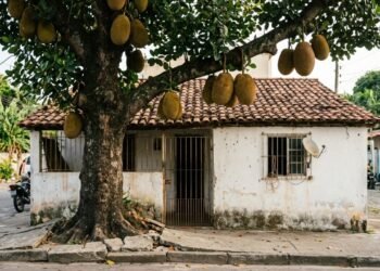 A árvore que pode derrubar sua casa e matar seu jardim