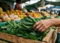 O detalhe na feira que garante folhas firmes e ricas em nutrientes para o seu jantar leve