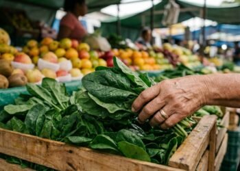 O detalhe na feira que garante folhas firmes e ricas em nutrientes para o seu jantar leve